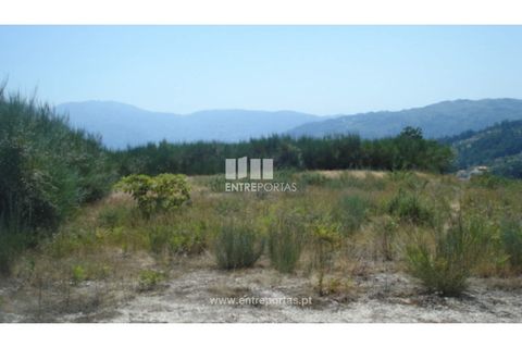 Terra a Ancede e Ribadouro, Porto, Ancede e Ribadouro - € 22.500 | Ref: MC03472 - foto 18
