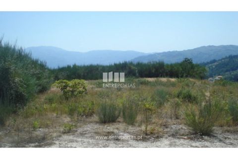 Terra a Ancede e Ribadouro, Porto, Ancede e Ribadouro - € 22.500 | Ref: MC03472 - foto 22