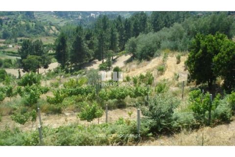 Helårsgrund i Ancede e Ribadouro, Porto, Ancede e Ribadouro - € 27.500 | Ref: MC03473 - foto 2