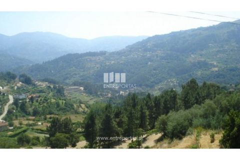 Helårsgrund i Ancede e Ribadouro, Porto, Ancede e Ribadouro - € 27.500 | Ref: MC03473 - foto 4