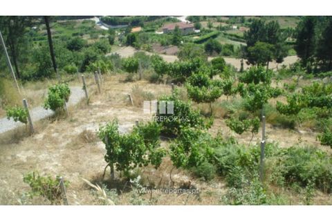 Helårsgrund i Ancede e Ribadouro, Porto, Ancede e Ribadouro - € 27.500 | Ref: MC03473 - foto 13
