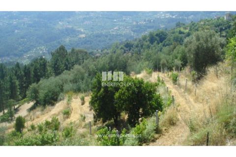 Helårsgrund i Ancede e Ribadouro, Porto, Ancede e Ribadouro - € 27.500 | Ref: MC03473 - foto 30