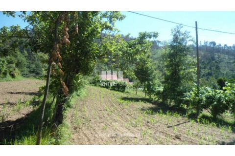 Helårsgrund i Cinfaes, Viseu, Cinfaes - € 15.000 | Ref: MC03656 - foto 10
