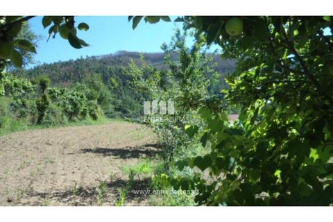 Helårsgrund i Cinfaes, Viseu, Cinfaes - € 15.000 | Ref: MC03656 - foto 21