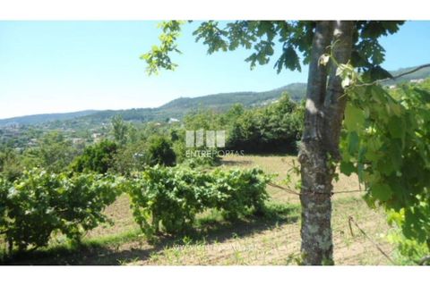 Helårsgrund i Cinfaes, Viseu, Cinfaes - € 15.000 | Ref: MC03656 - foto 30
