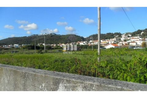 Terra a Areosa, Viana do Castelo, Areosa - € 142.500 | Ref: VCM09229(4) - foto 5