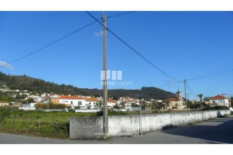 Terra a Areosa, Viana do Castelo, Areosa - € 142.500 | Ref: VCM09229(4) - foto 12