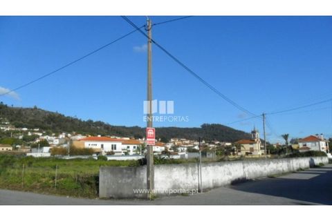 Terra a Areosa, Viana do Castelo, Areosa - € 142.500 | Ref: VCM09229(4) - foto 13