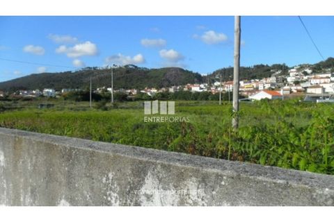Terra a Areosa, Viana do Castelo, Areosa - € 142.500 | Ref: VCM09229(4) - foto 19