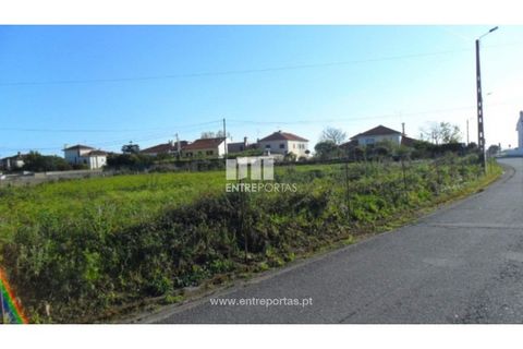 Terra a Areosa, Viana do Castelo, Areosa - € 142.500 | Ref: VCM09229(4) - foto 22