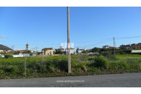 Terra a Areosa, Viana do Castelo, Areosa - € 142.500 | Ref: VCM09229(4) - foto 24
