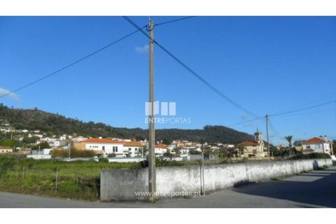 Terra a Areosa, Viana do Castelo, Areosa - € 142.500 | Ref: VCM09229(4) - foto 25