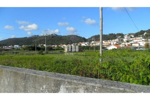 Terra a Areosa, Viana do Castelo, Areosa - € 142.500 | Ref: VCM09229(4) - foto 26