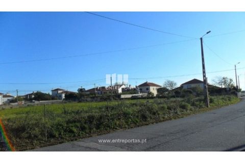 Terra a Areosa, Viana do Castelo, Areosa - € 142.500 | Ref: VCM09229(4) - foto 30
