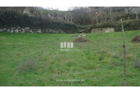 Helårsgrund i Valongo, Porto, Valongo - € 60.000 | Ref: MC04075 - foto 1