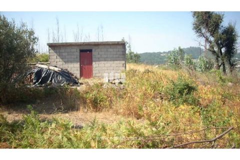Helårsgrund i Cinfaes, Viseu, Cinfaes - € 95.000 | Ref: MC04141 - foto 1