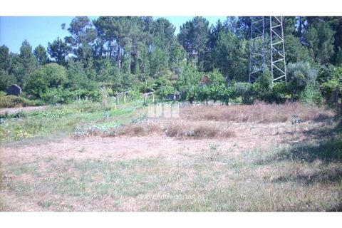Helårsgrund i Cinfaes, Viseu, Cinfaes - € 95.000 | Ref: MC04141 - foto 4