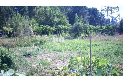 Helårsgrund i Cinfaes, Viseu, Cinfaes - € 95.000 | Ref: MC04141 - foto 5