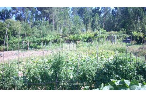 Helårsgrund i Cinfaes, Viseu, Cinfaes - € 95.000 | Ref: MC04141 - foto 6