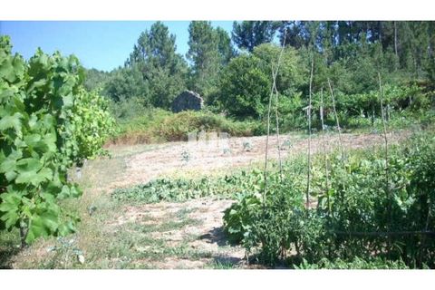 Helårsgrund i Cinfaes, Viseu, Cinfaes - € 95.000 | Ref: MC04141 - foto 7