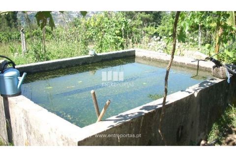 Helårsgrund i Cinfaes, Viseu, Cinfaes - € 95.000 | Ref: MC04141 - foto 8