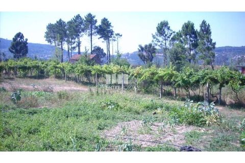 Helårsgrund i Cinfaes, Viseu, Cinfaes - € 95.000 | Ref: MC04141 - foto 9