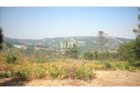 Helårsgrund i Cinfaes, Viseu, Cinfaes - € 95.000 | Ref: MC04141 - foto 10