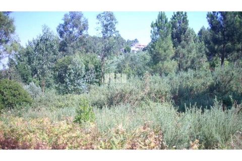 Helårsgrund i Cinfaes, Viseu, Cinfaes - € 95.000 | Ref: MC04141 - foto 11