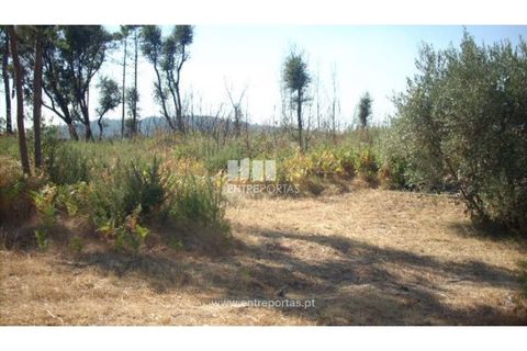 Helårsgrund i Cinfaes, Viseu, Cinfaes - € 95.000 | Ref: MC04141 - foto 12