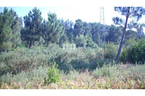Helårsgrund i Cinfaes, Viseu, Cinfaes - € 95.000 | Ref: MC04141 - foto 13
