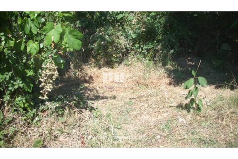 Helårsgrund i Cinfaes, Viseu, Cinfaes - € 95.000 | Ref: MC04141 - foto 14