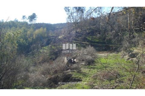 Helårsgrund i Baiao, Porto, Baiao - € 42.500 | Ref: MC04106 - foto 2