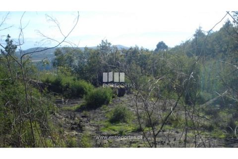 Helårsgrund i Baiao, Porto, Baiao - € 42.500 | Ref: MC04106 - foto 6