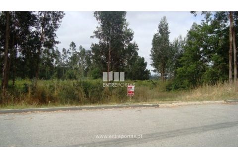Terra a Barroselas, Viana do Castelo, Barroselas - € 135.000 | Ref: VCM09409 - foto 2