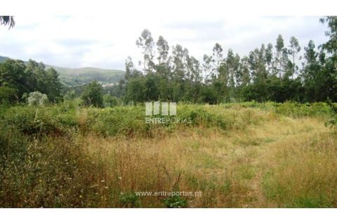 Terra a Barroselas, Viana do Castelo, Barroselas - € 135.000 | Ref: VCM09409 - foto 3