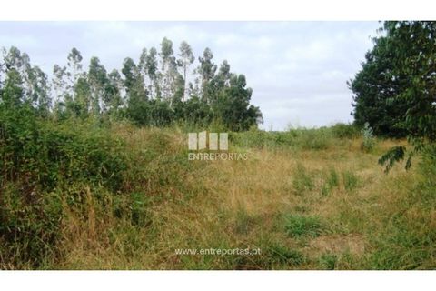 Terra a Barroselas, Viana do Castelo, Barroselas - € 135.000 | Ref: VCM09409 - foto 4