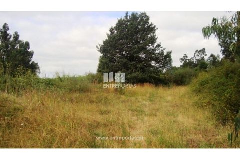 Terra a Barroselas, Viana do Castelo, Barroselas - € 135.000 | Ref: VCM09409 - foto 5