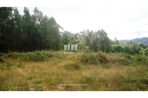 Terra a Barroselas, Viana do Castelo, Barroselas - € 135.000 | Ref: VCM09409 - foto 6