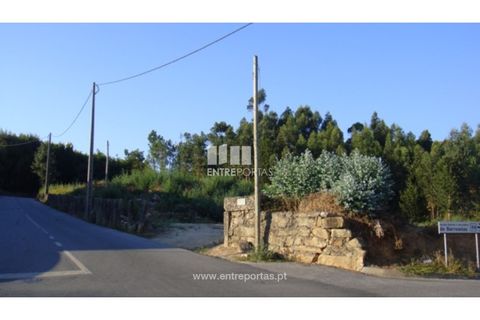 Tomt i Barroselas, Viana do Castelo, Barroselas - € 840 000 | Ref: VCM09476 - foto 19