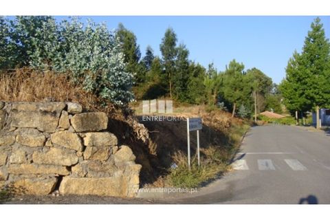 Tomt i Barroselas, Viana do Castelo, Barroselas - € 840 000 | Ref: VCM09476 - foto 21