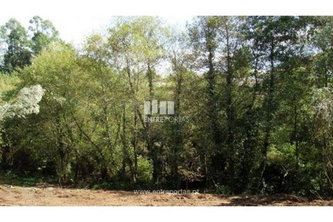 Helårsgrund i Esposende, Braga, Esposende - € 477.500 | Ref: VCC09434 - foto 2