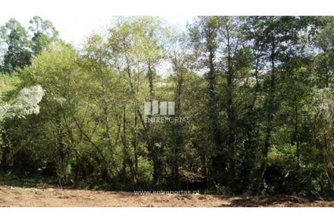 Helårsgrund i Esposende, Braga, Esposende - € 477.500 | Ref: VCC09434 - foto 10