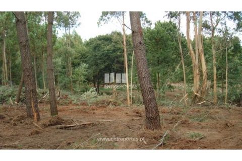 Helårsgrund i Esposende, Braga, Esposende - € 477.500 | Ref: VCC09434 - foto 16