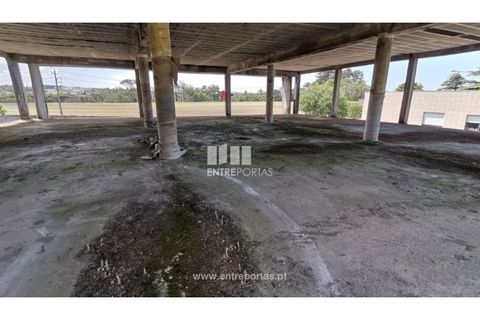 Tomt i Vila do Conde, Porto, Vila do Conde - € 490 000 | Ref: PV05202 - foto 5