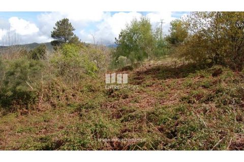 Helårsgrund i Amarante, Porto, Amarante - € 13.500 | Ref: MC04482 - foto 2