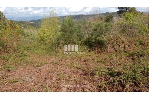 Helårsgrund i Amarante, Porto, Amarante - € 13.500 | Ref: MC04482 - foto 3