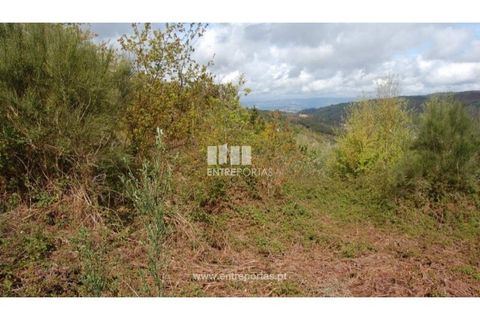 Helårsgrund i Amarante, Porto, Amarante - € 13.500 | Ref: MC04482 - foto 4