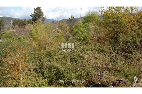 Helårsgrund i Amarante, Porto, Amarante - € 13.500 | Ref: MC04482 - foto 5