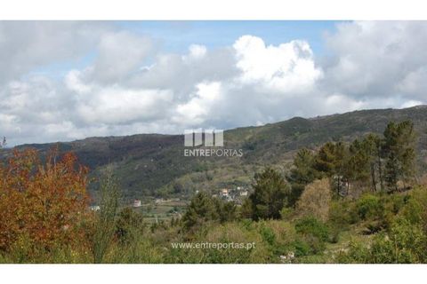 Helårsgrund i Amarante, Porto, Amarante - € 13.500 | Ref: MC04482 - foto 6