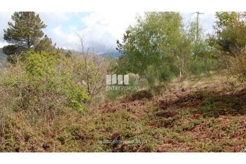 Helårsgrund i Amarante, Porto, Amarante - € 13.500 | Ref: MC04482 - foto 7